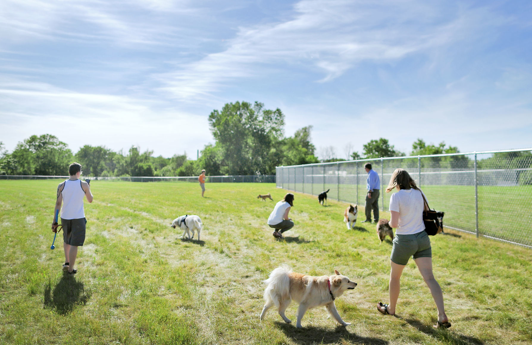 180614_DOGPARK02